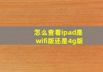 怎么查看ipad是wifi版还是4g版