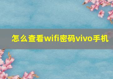 怎么查看wifi密码vivo手机