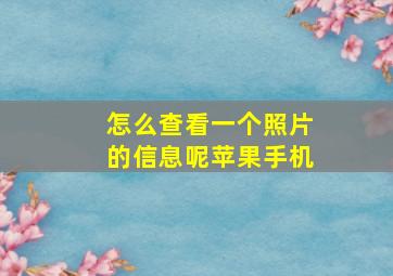 怎么查看一个照片的信息呢苹果手机