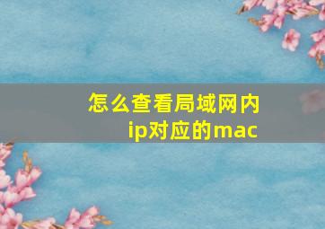 怎么查看局域网内ip对应的mac