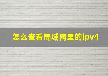 怎么查看局域网里的ipv4