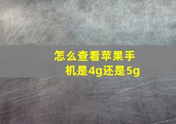 怎么查看苹果手机是4g还是5g