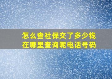 怎么查社保交了多少钱在哪里查询呢电话号码