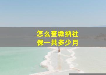 怎么查缴纳社保一共多少月