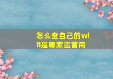 怎么查自己的wifi是哪家运营商