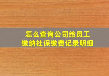 怎么查询公司给员工缴纳社保缴费记录明细