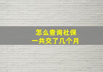 怎么查询社保一共交了几个月