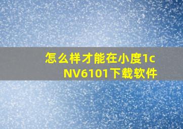 怎么样才能在小度1cNV6101下载软件