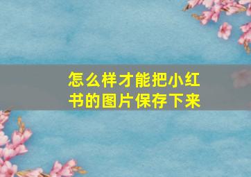 怎么样才能把小红书的图片保存下来