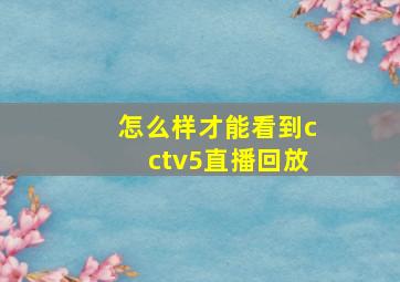 怎么样才能看到cctv5直播回放