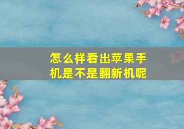 怎么样看出苹果手机是不是翻新机呢