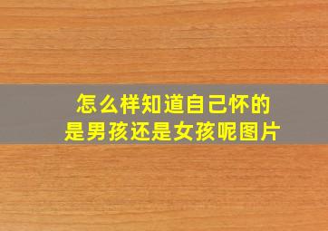 怎么样知道自己怀的是男孩还是女孩呢图片