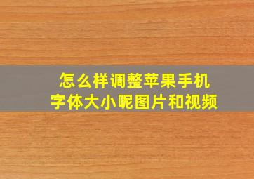 怎么样调整苹果手机字体大小呢图片和视频