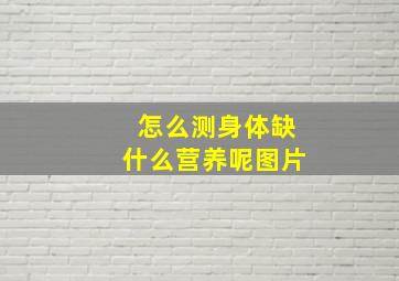 怎么测身体缺什么营养呢图片