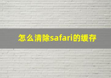 怎么清除safari的缓存