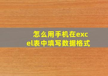 怎么用手机在excel表中填写数据格式