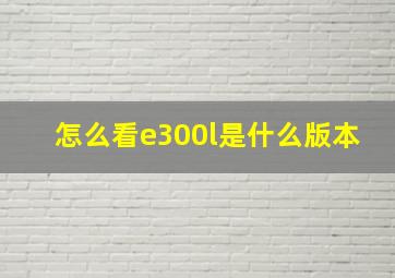 怎么看e300l是什么版本