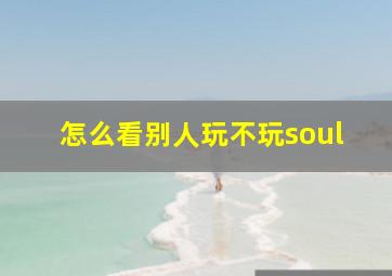 怎么看别人玩不玩soul