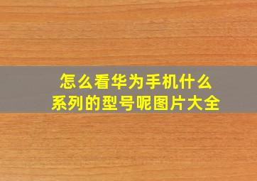 怎么看华为手机什么系列的型号呢图片大全