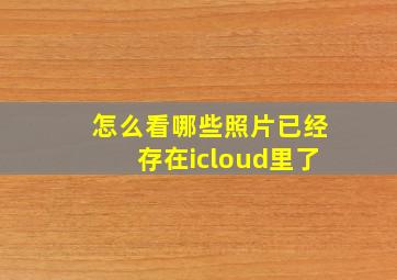 怎么看哪些照片已经存在icloud里了