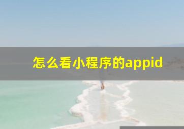 怎么看小程序的appid