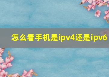 怎么看手机是ipv4还是ipv6