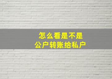 怎么看是不是公户转账给私户