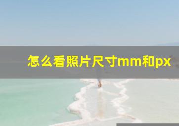 怎么看照片尺寸mm和px