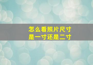 怎么看照片尺寸是一寸还是二寸