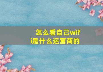 怎么看自己wifi是什么运营商的