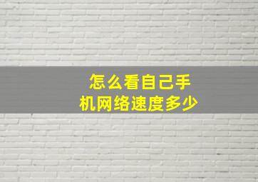 怎么看自己手机网络速度多少