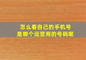 怎么看自己的手机号是哪个运营商的号码呢