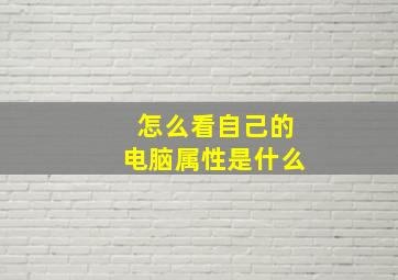 怎么看自己的电脑属性是什么