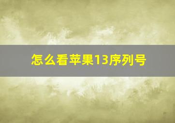 怎么看苹果13序列号