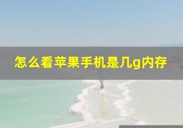 怎么看苹果手机是几g内存