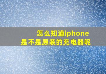 怎么知道iphone是不是原装的充电器呢