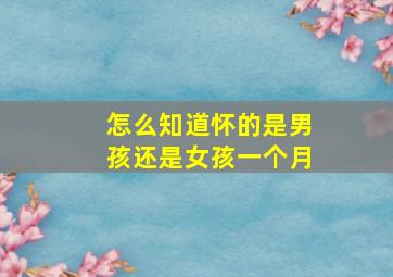 怎么知道怀的是男孩还是女孩一个月