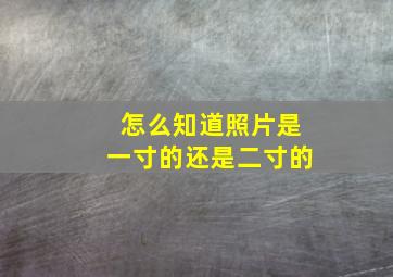 怎么知道照片是一寸的还是二寸的