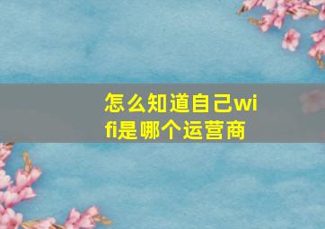 怎么知道自己wifi是哪个运营商