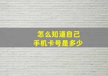 怎么知道自己手机卡号是多少