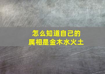 怎么知道自己的属相是金木水火土