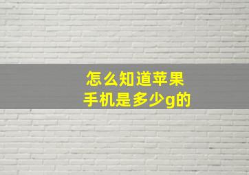 怎么知道苹果手机是多少g的