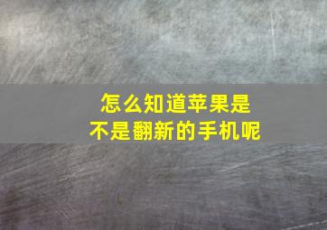 怎么知道苹果是不是翻新的手机呢