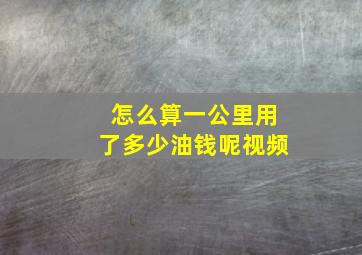 怎么算一公里用了多少油钱呢视频