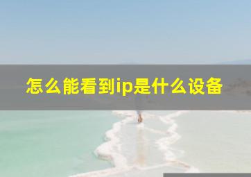 怎么能看到ip是什么设备