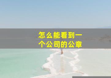 怎么能看到一个公司的公章