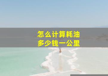 怎么计算耗油多少钱一公里