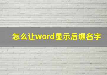 怎么让word显示后缀名字