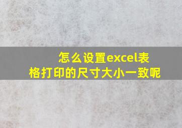 怎么设置excel表格打印的尺寸大小一致呢