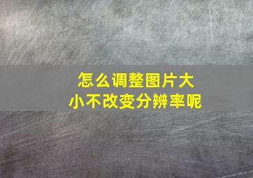 怎么调整图片大小不改变分辨率呢